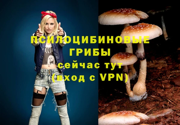марки nbome Алзамай